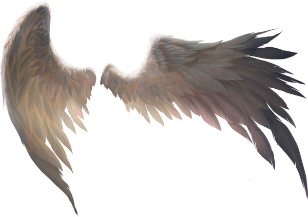 Сложенные Крылья