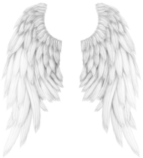 Крылья эскиз