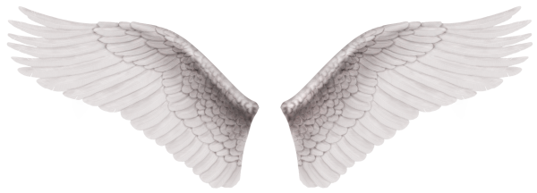 Крылья на прозрачном фоне
