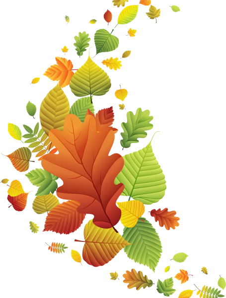 Осенние листья вектор