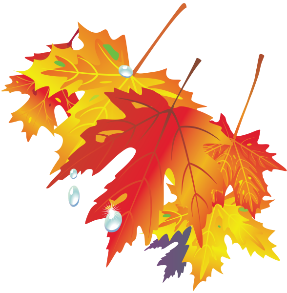 Осенние листья рисунок