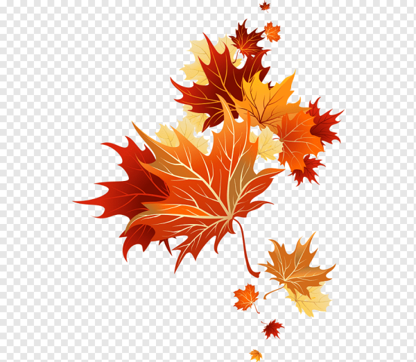 Осенние листья вектор