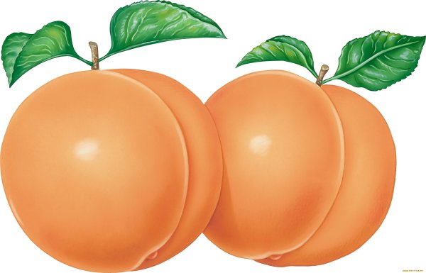 Абрикос мультяшный