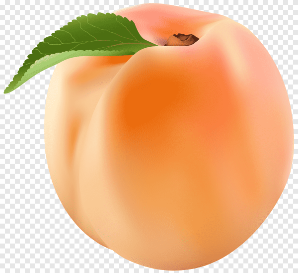 Персик на прозрачном фоне