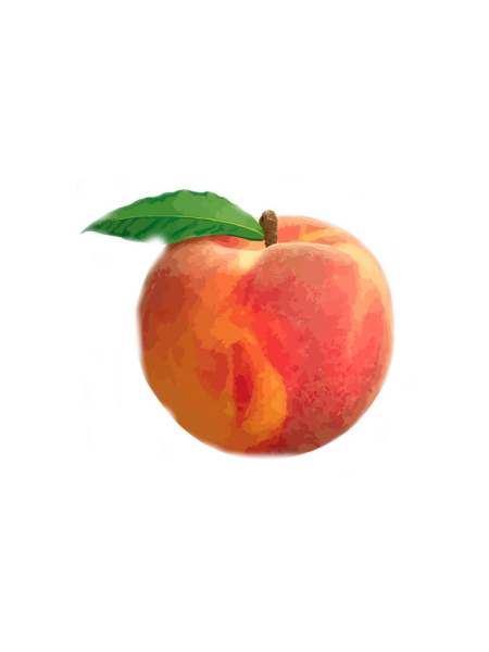 Персик на белом фоне