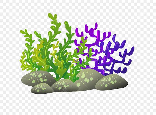 Кораллы для дошкольников