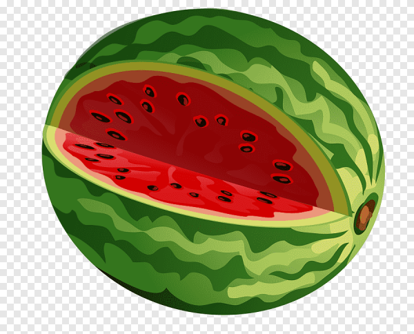 Арбуз на прозрачном фоне