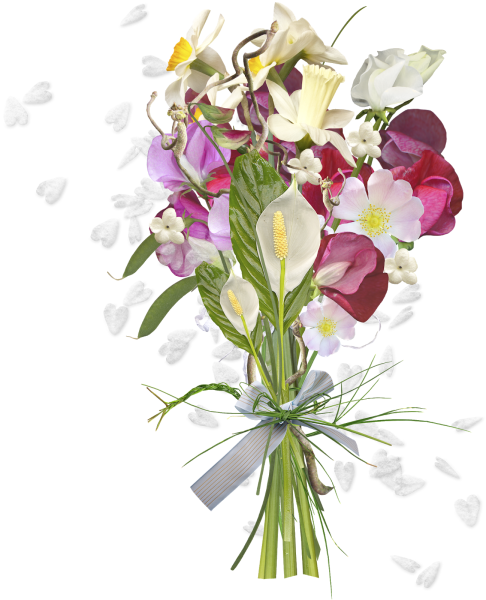 Красивый букет цветов на белом фоне