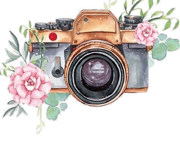 Фотоаппарат с цветочками