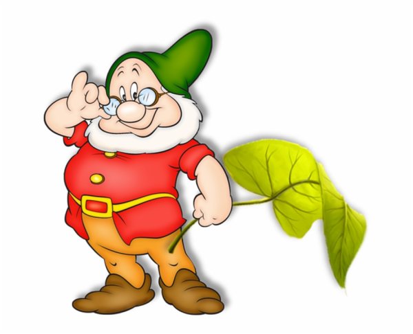 Про гномиков