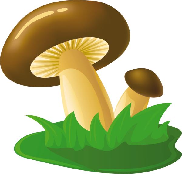 Грибы мульт