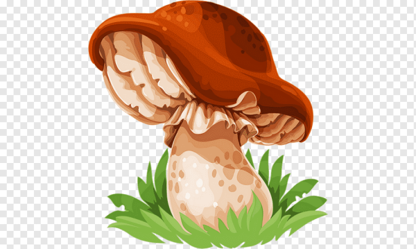 Грибы клипарт