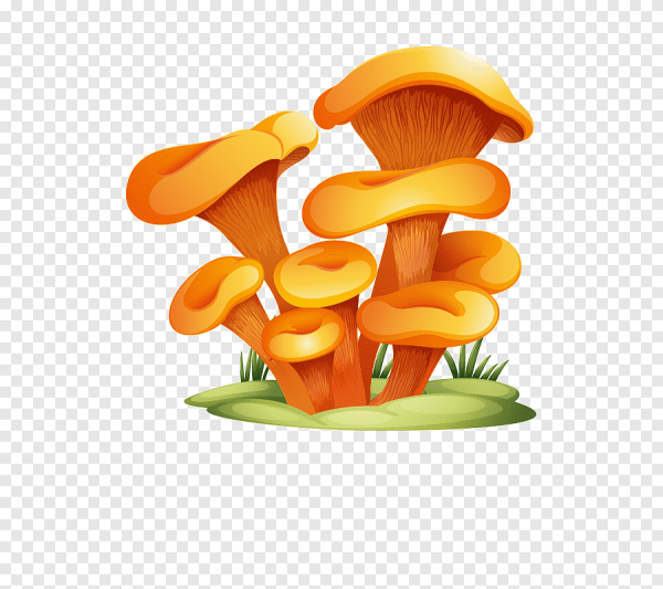 Мультяшные грибы лисички