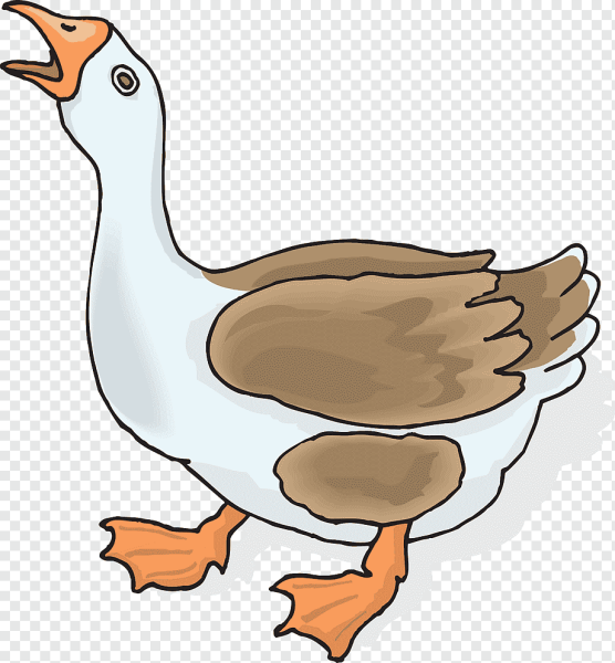 Гусь картинка для детей