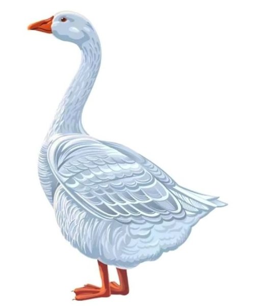 Гусь для детей