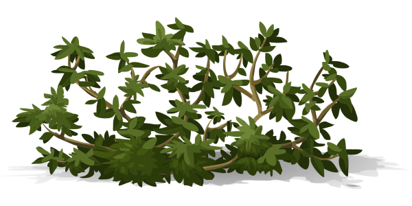 Куст иллюстрация