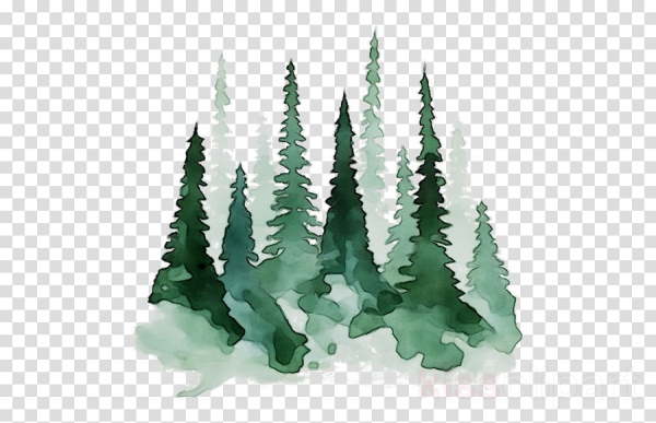 Ель акварелью