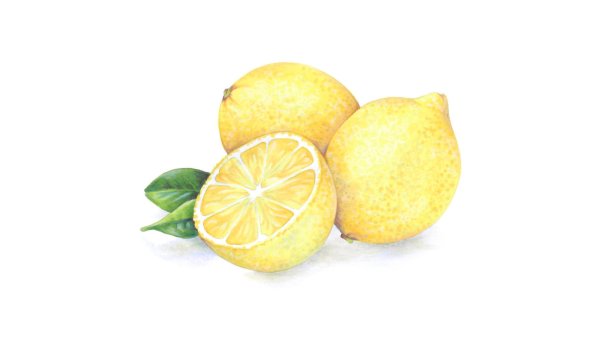 Картинки для срисовки лимон