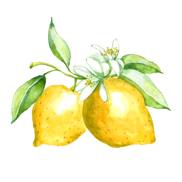 Лимон иллюстрация