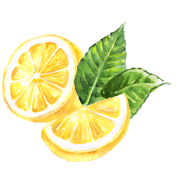 Долька лимона акварелью