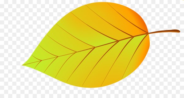 Осенний листок