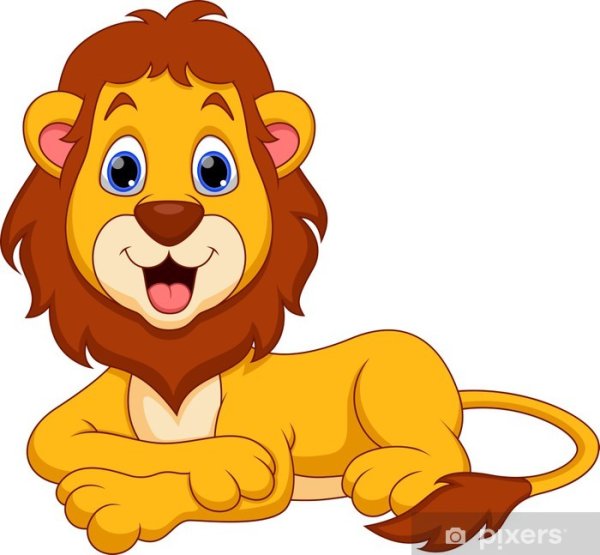 Львенок на белом фоне