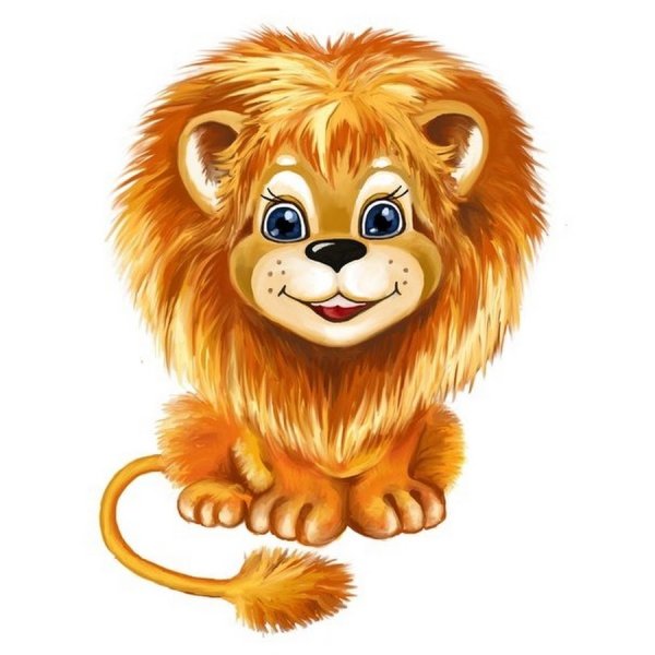 Львенок на белом фоне