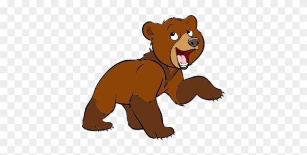 Мультяшный медведь на прозрачном фоне