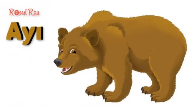 Медведь рисунок для детей