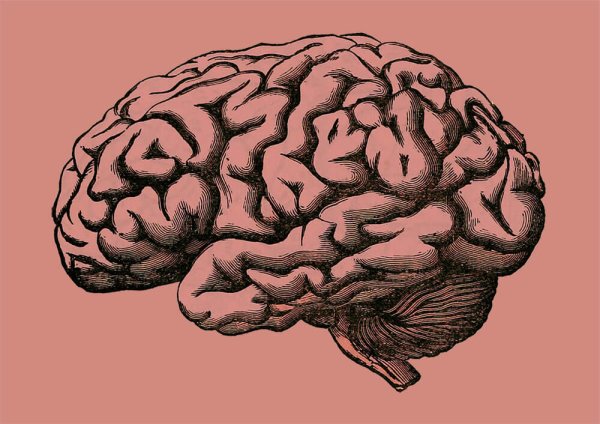 Quantum Brains офис