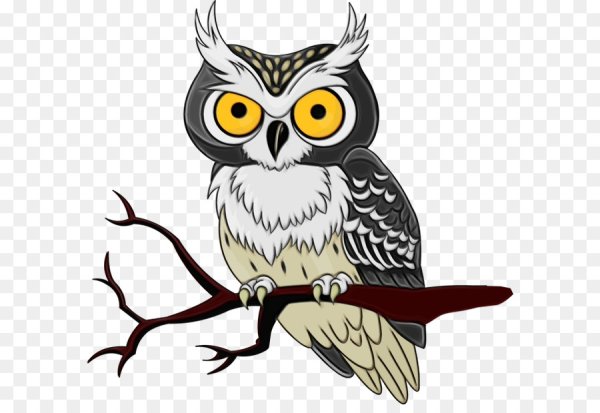Совы мультяшные