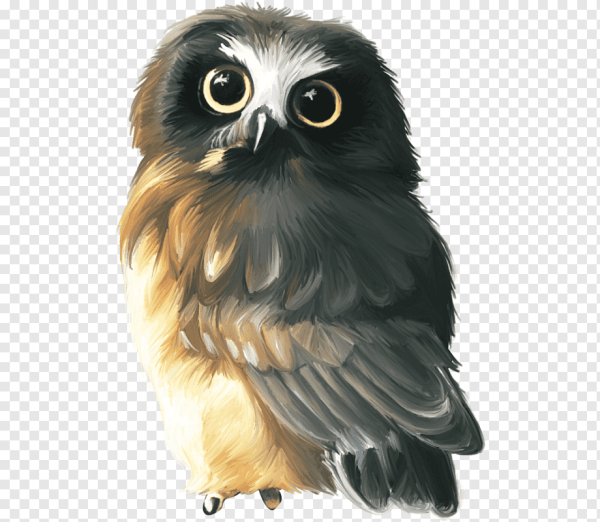 Совы картинки мультяшные