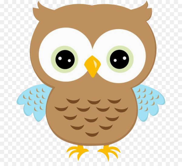 Сова рисунок