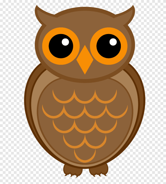 Сова клипарт на прозрачном фоне