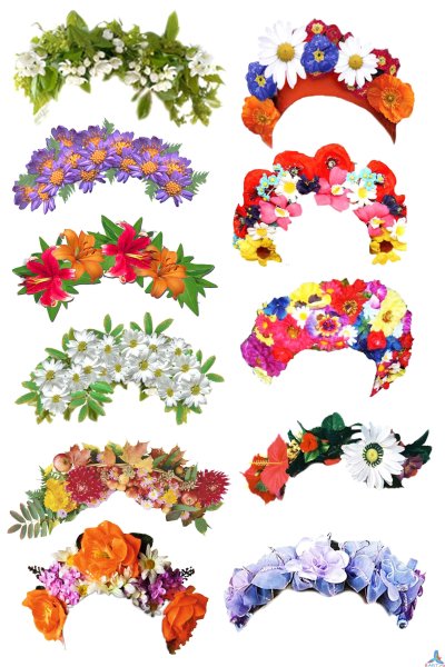 Венок нарисованный на голову