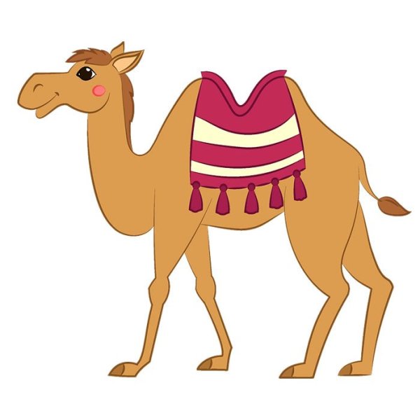 Верблюд на белом фоне