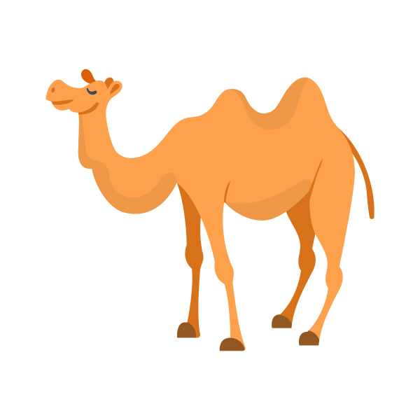 Верблюд для детей