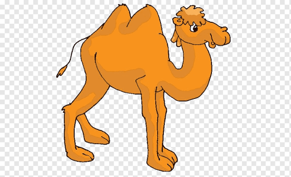 Мультяшные Верблюды