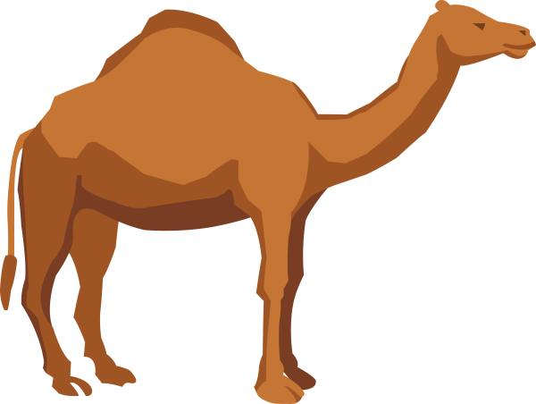 Мультяшные Верблюды
