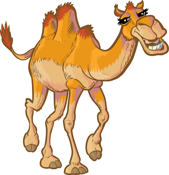 Веселый верблюд