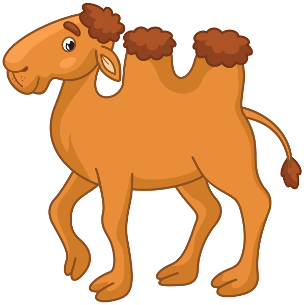 Изображение верблюда для детей