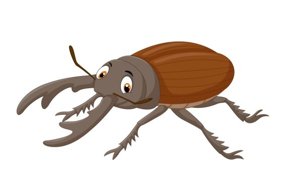 Жук для детей на прозрачном фоне