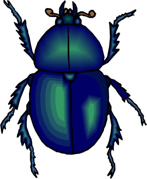 Жук картинка для детей