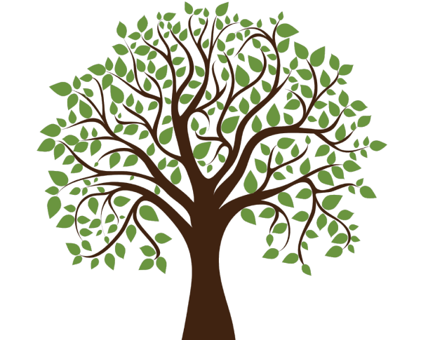 Векторное дерево