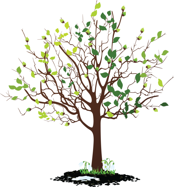 Листочки деревьев