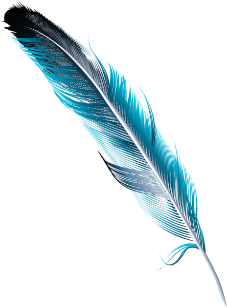 Перо на прозрачном фоне