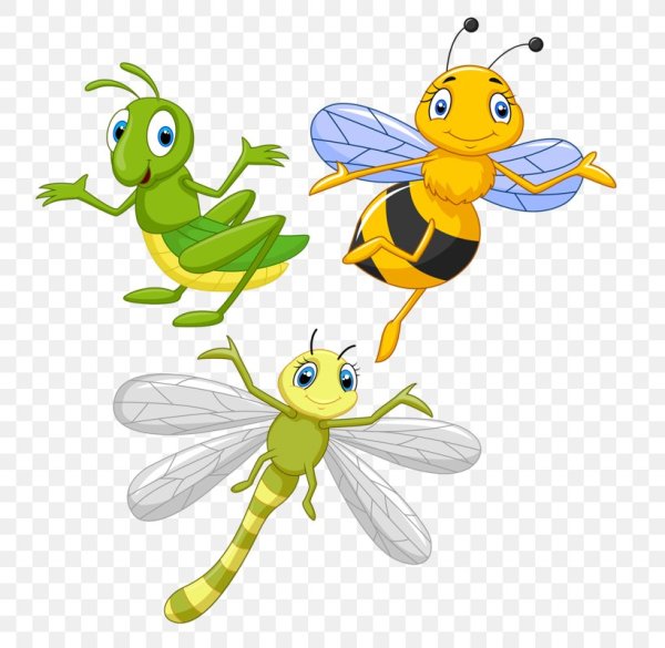 Мультяшные насекомые