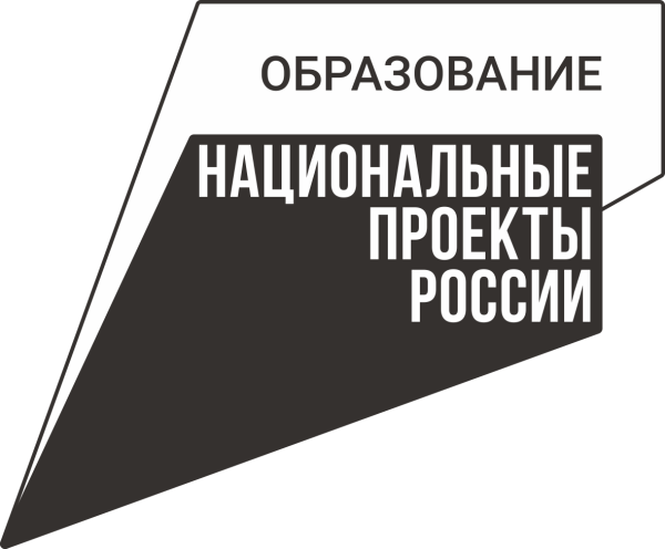 Национальные приоритеты лого