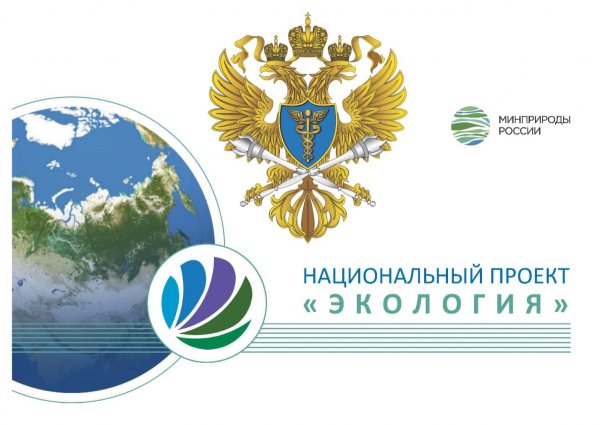 Нац проект экология России