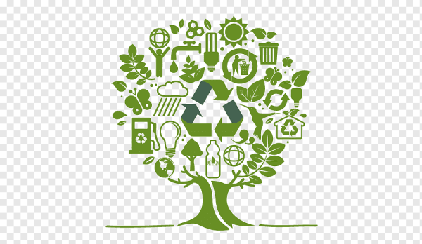 Экологическая переработка